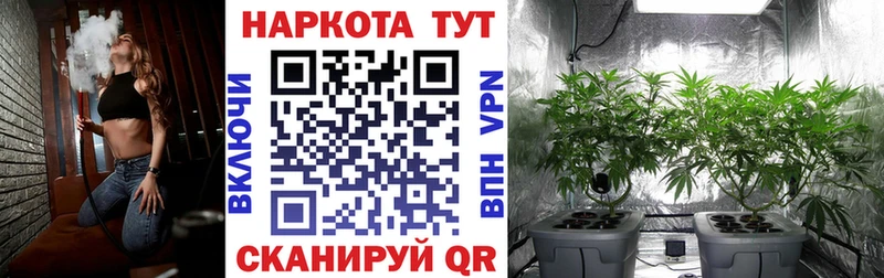 Купить закладку КОКАИН  НБОМе  A-PVP  ГАШИШ  Меф  Бошки Шишки  Данилов