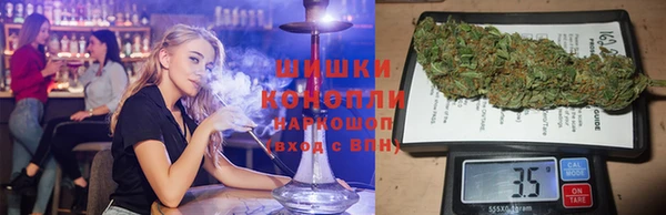 СК Елизово