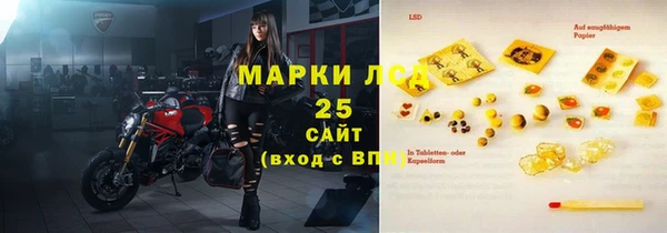 СК Елизово