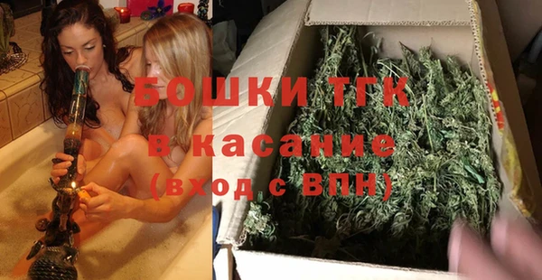 СК Елизово