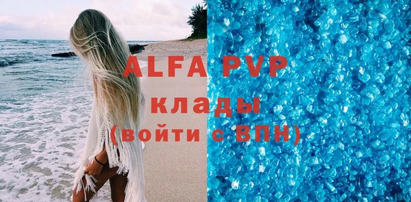 СК Елизово