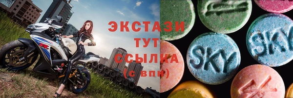 СК Елизово