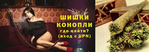 СК Елизово