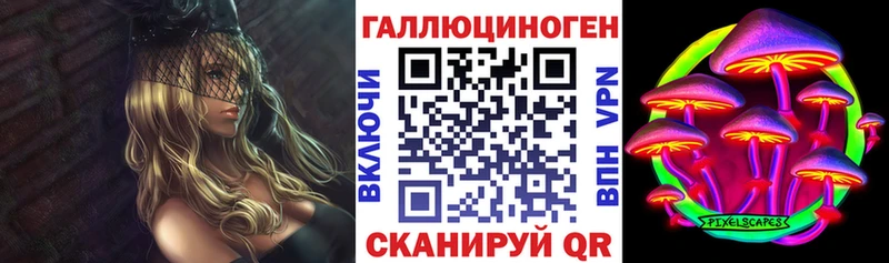 Псилоцибиновые грибы Psilocybe  Купить закладки  Данилов 